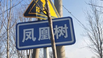 思念家鄉(xiāng)——致鳳凰樹村的父老鄉(xiāng)親