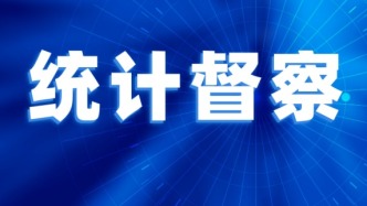 国家统计局2026年常规统计督察第2统计督察组公布受理反映上海市统计违纪违法行为举报方式