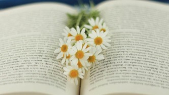 論影視投資合作中的不當?shù)美偷咒N