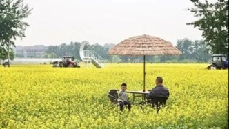 亦莊新城瀛海鎮(zhèn)200畝油菜花田等您來打卡→