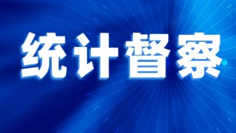 国家统计局2026年常规统计督察第2统计督察组进驻上海市开展统计督察