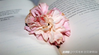 法院強制執(zhí)行票房分賬款，其他版權(quán)人提出異議所引發(fā)的問題