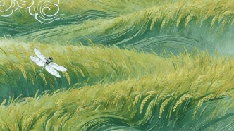 今日小滿，三則關(guān)于小滿的誤區(qū)，一起來(lái)看！