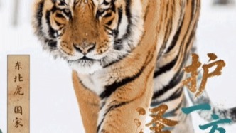 國際生物多樣性日丨護(hù)一方生靈 澤萬物共榮