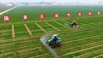 節(jié)水小麥、強(qiáng)筋小麥、耐鹽堿小麥研究走在全國前列，河北小麥育種創(chuàng)新不斷突破
