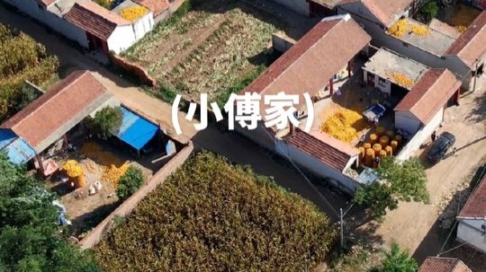 航拍美丽乡村,德州市陵城区-滋镇(小傅家村)美丽乡村