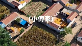 航拍美丽乡村，德州市陵城区-滋镇(小傅家村)美丽乡村