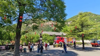 山東萊州大基山童心散文詩(shī)歌征集！把孩子的詩(shī)掛在樹(shù)上