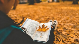 合同未对后期制作约定标准，如何确定工作成果是否合格？