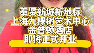奉贤新城新地标上海九棵树艺术中心
