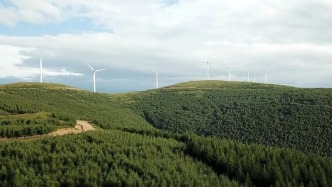今年河北將實施“三北”工程建設(shè)任務(wù)384.3萬畝