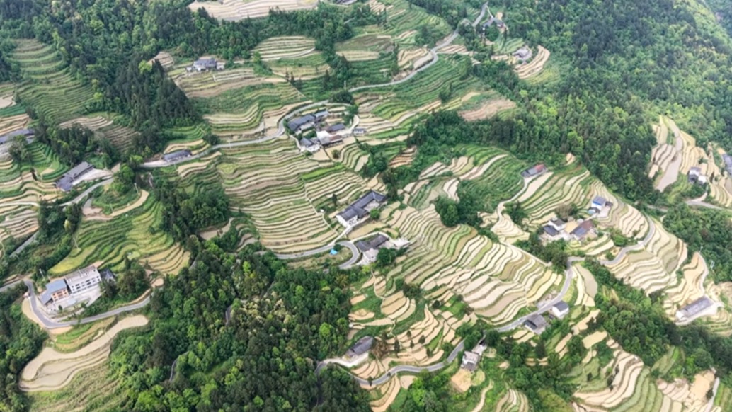 重慶武隆后坪鄉(xiāng)梯田，藏在武陵山深處的云端秘境，景觀不遜元陽