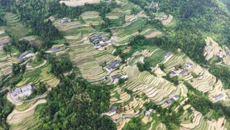 重慶武隆后坪鄉(xiāng)梯田，藏在武陵山深處的云端秘境，景觀不遜元陽