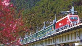 通車20年 青藏鐵路托起西藏經(jīng)濟(jì)發(fā)展幸福路