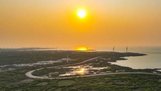 《人民日報》關注海南旅游公路生態(tài)廊道：騎行路上，聽取蛙聲一片