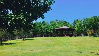 6月1日起，南海子公园熏风园C片区试点露营体验，注意事项——