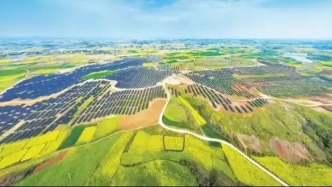 打通电、证、碳三条制度线！五部门为非化石能源电力消费立规矩