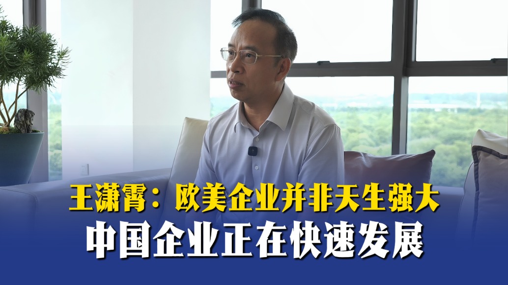 王潇霄：欧美企业并非天生强大，中国企业正在快速发展