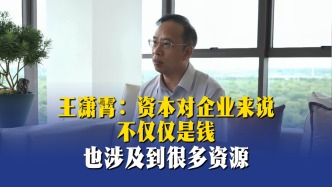 王潇霄：资本对企业来说不仅仅是钱，也涉及很多资源