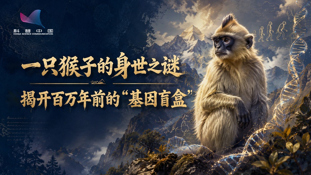 明明亲生的，却长得像隔壁老王！ 这种“表里不一”的猴子，揭开了演化的秘密