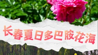 长春两片花海上线！没想到吧？离你这么近！