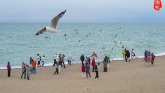 藏在青藏高原的海滨风情，碧海蓝天，海鸥成群，满满的海滨即视感