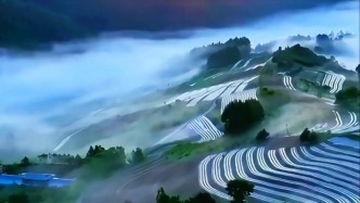 东北也有美如画的梯田，它们深藏在长白山的腹地，与云海相伴。（素材来源：@王平BAIS）