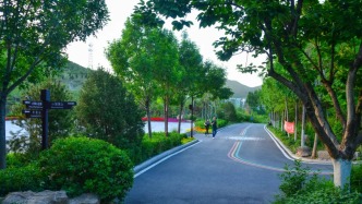 济南这5条夏日“绿意盎然”的步道，运动、遛弯太治愈！