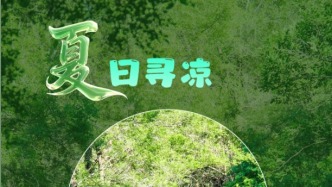 凈月潭這處清涼秘境，99%的人還不知道！