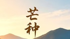 芒种：一场与时间赛跑的盛夏耕耘