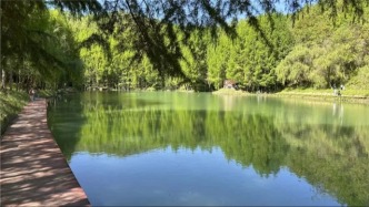 夏日陇南 慢游指南｜藏在秦岭南麓的乡野秘境
