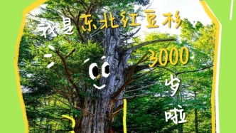 吉祥森林里的“高齡網(wǎng)紅”，你知道幾個？
