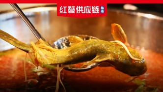 糟粕醋火了，奶皮子紅了，下一個(gè)接住潑天流量的非遺食材會(huì)是誰？