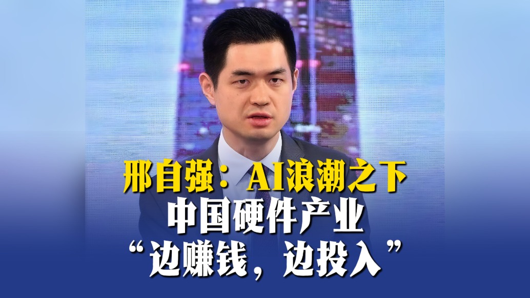 邢自强:AI浪潮之下,中国硬件产业“边赚钱,边投入”