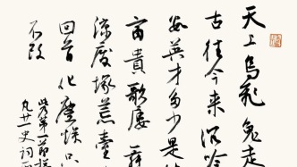 白阳书《廿一史弹词》丨总说《西江月》
