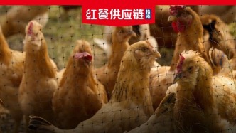 鸡在上游称王，鸭在下游封神：同一个赛道，两种命