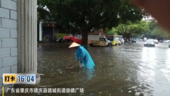 暴雨突袭！德庆迅速行动排涝清障，全力守护群众安全