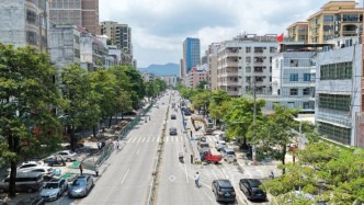 德庆城市更新步履不停！龙母大街升级改造正加速推进中