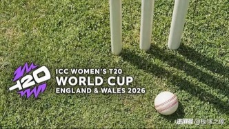 2026年T20女子板球世界杯