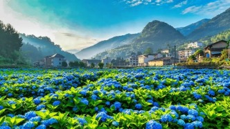 友好城市推荐｜花开成海、溪流淙淙，邂逅福州清爽夏日！