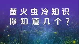 这些关于萤火虫的冷知识，你知道几个？