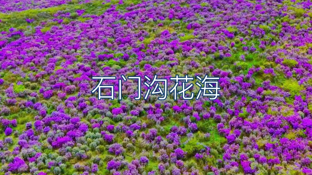 旅途中的美景,神奇大自然美丽风景