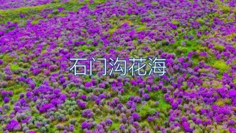 旅途中的美景，神奇大自然美丽风景