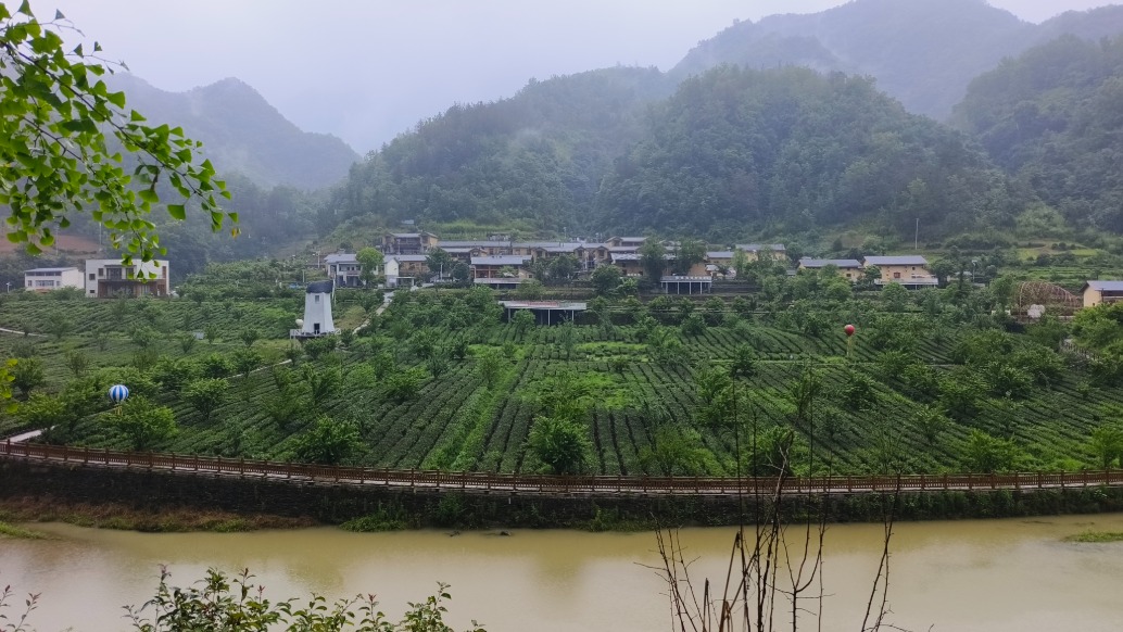 湖北竹溪:夏雨濛濛黄花沟