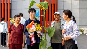 向日葵：2026高考，一举夺葵（魁）丨河南·滑县
