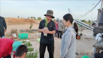 沙地无界 共治有方