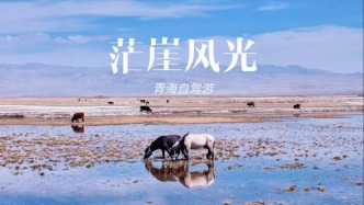 青海自驾游：茫崖戈壁之中惊现湿地绿洲，牛马成群，美如画卷