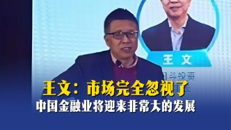 王文：市场完全忽视了，中国金融业将迎来非常大的发展