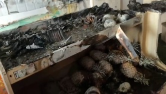 驱蚊“神器”引火烧店！一夜间水果全“熟”了......