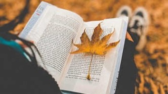 负责剧本管理的一方违约,另一方以何种方式解除合同?